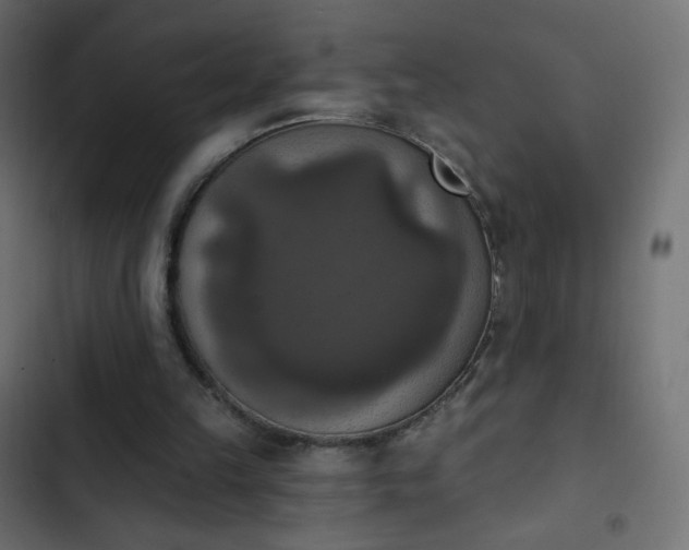 X0000103950149200809261756