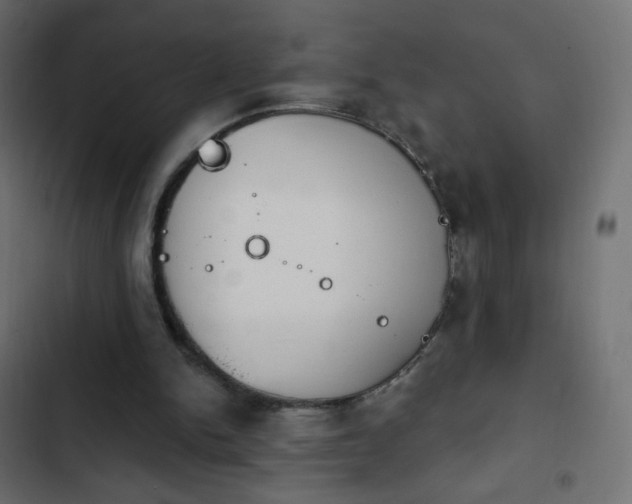 X0000103950150200809261756