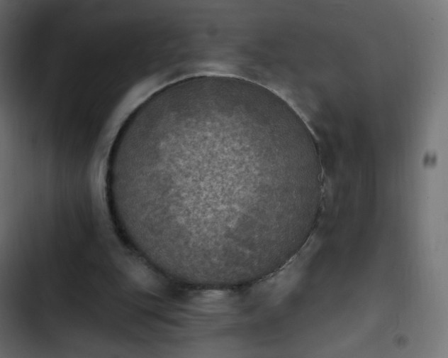 X0000103950151200809261756