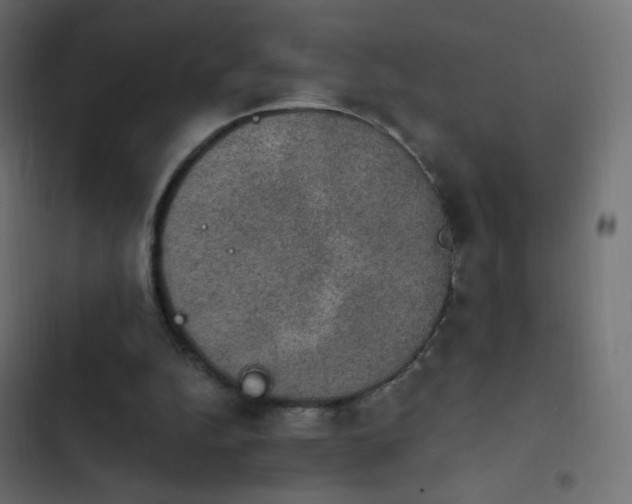 X0000103950152200809261756