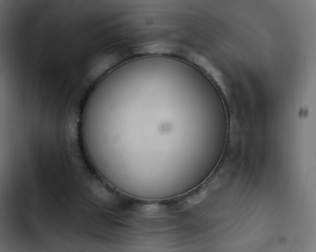 X0000103950153200809261756