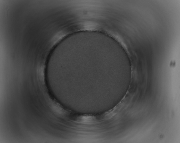 X0000103950154200809261756