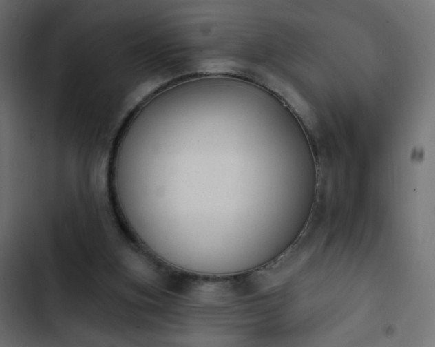 X0000103950155200809261756