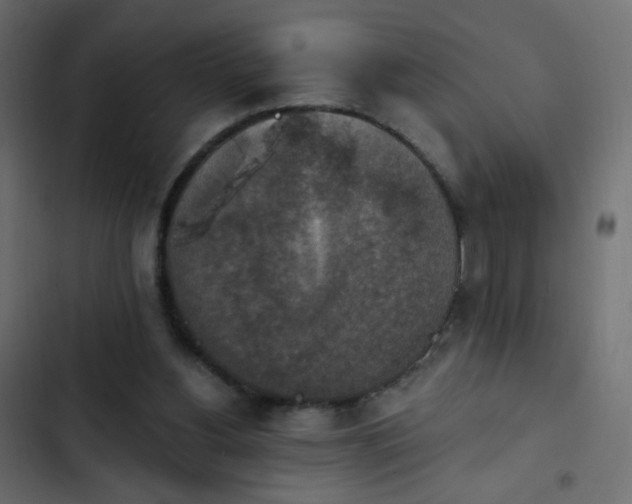 X0000103950156200809261756