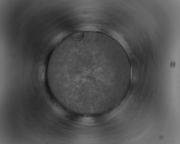 X0000103950157200809261756