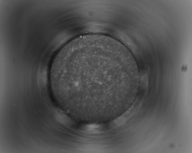 X0000103950158200809261756