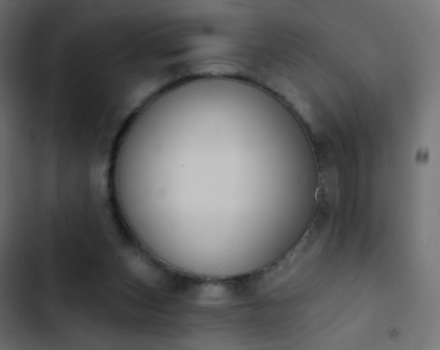 X0000103950159200809261756