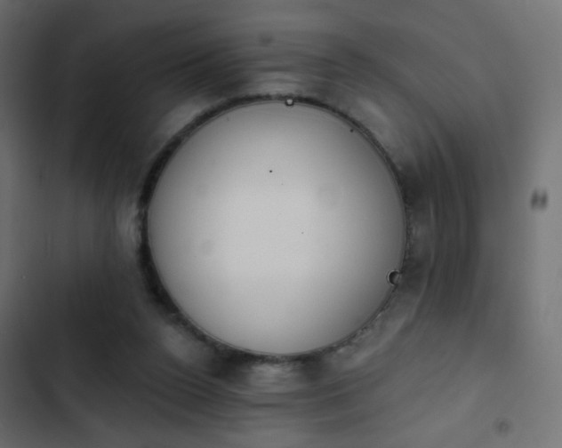 X0000103950160200809261756