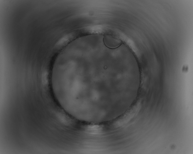 X0000103950161200809261756