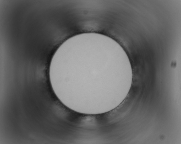 X0000103950162200809261756