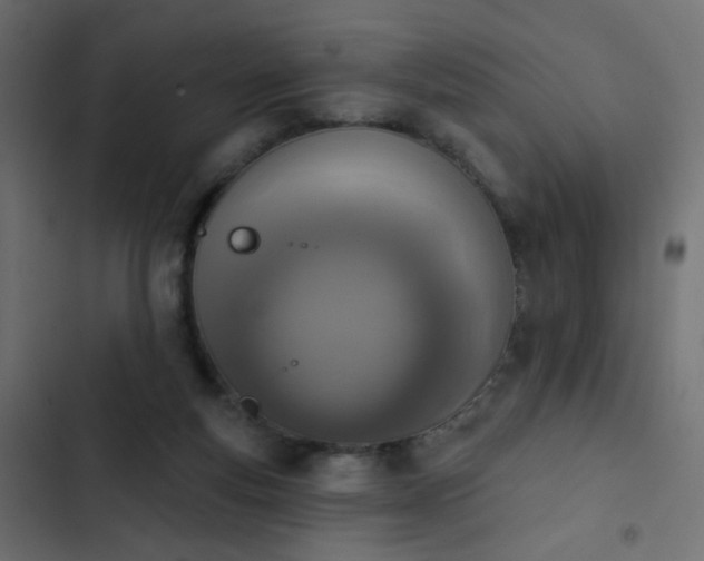 X0000103950163200809261756