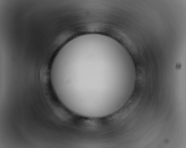 X0000103950164200809261756