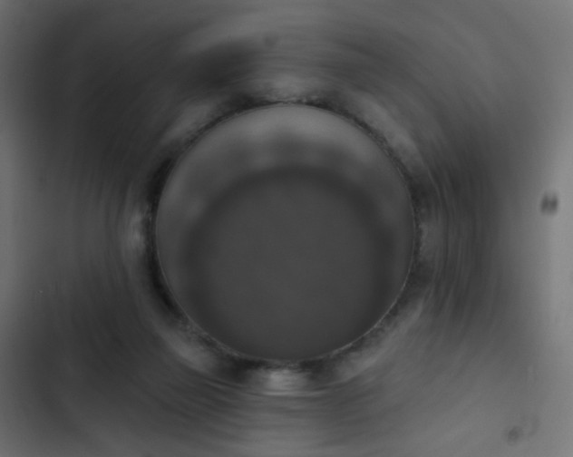 X0000103950165200809261756