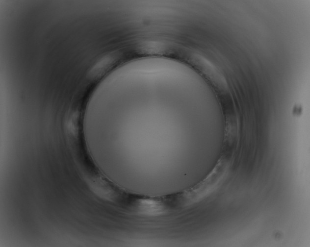 X0000103950167200809261756