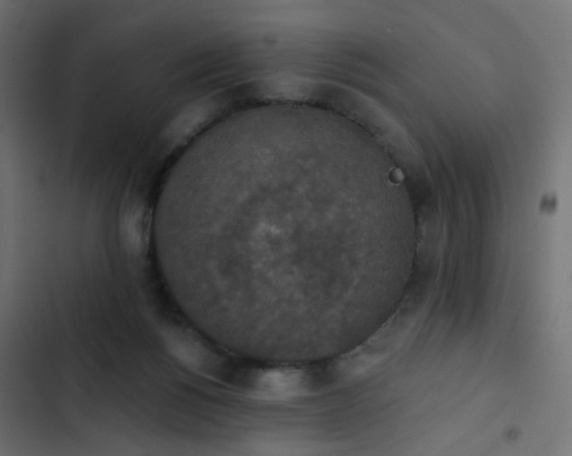 X0000103950168200809261756