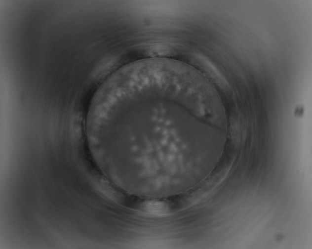 X0000103950169200809261756