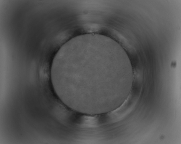 X0000103950170200809261756