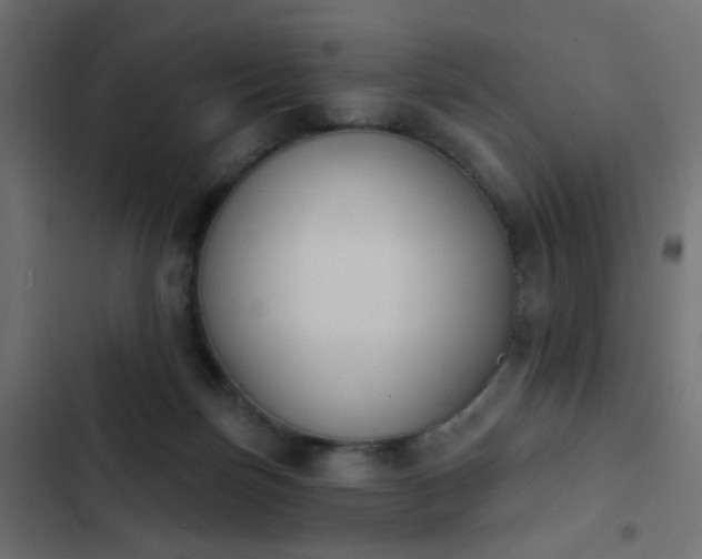 X0000103950171200809261756