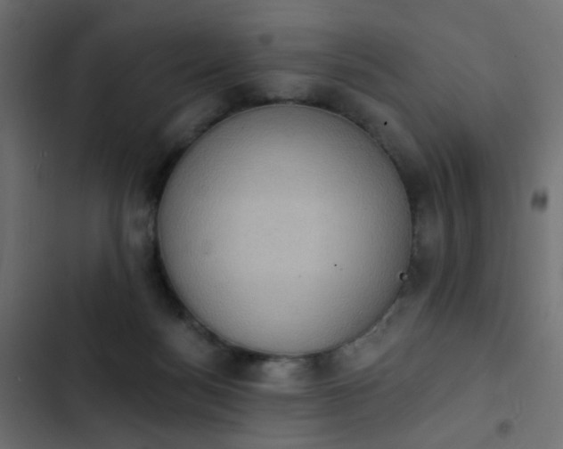 X0000103950172200809261756