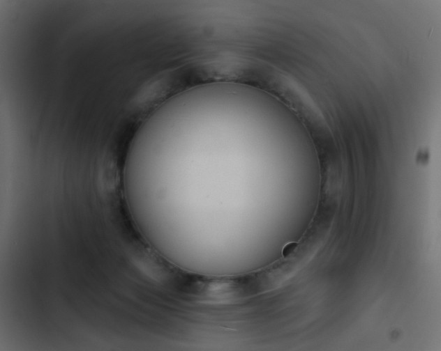 X0000103950173200809261756