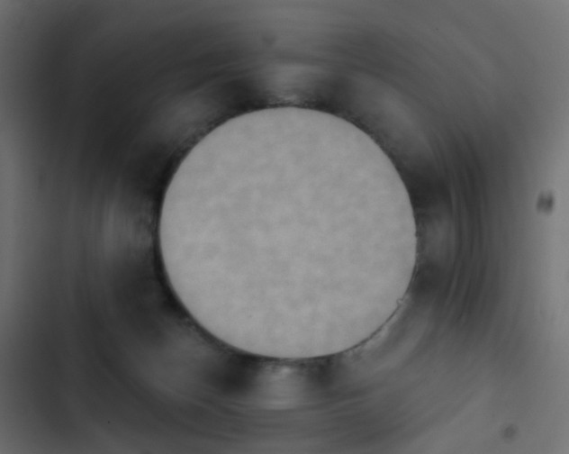 X0000103950174200809261756