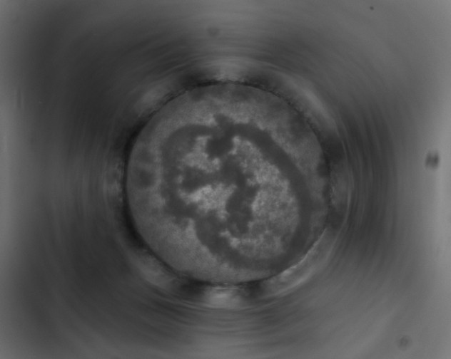 X0000103950175200809261756