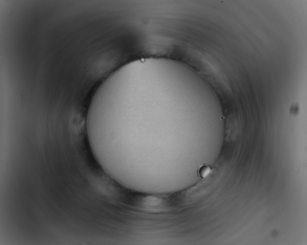 X0000103950176200809261756