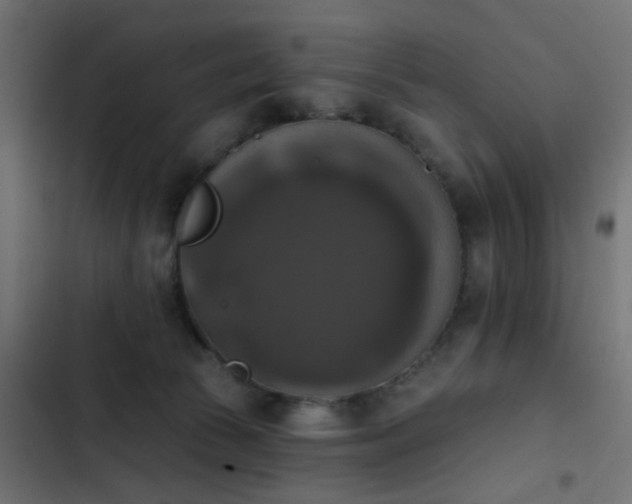 X0000103950177200809261756