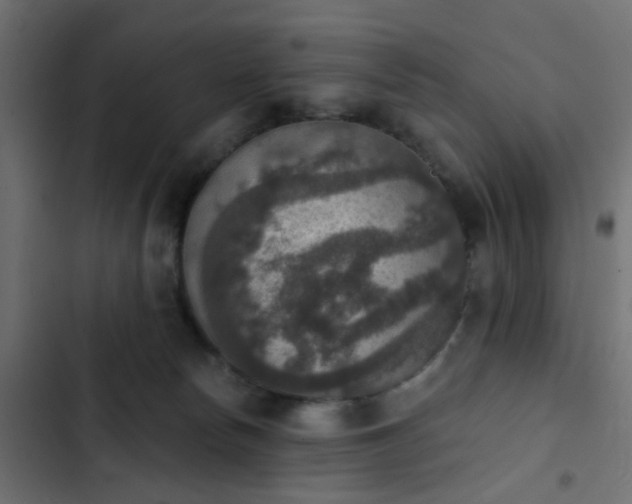 X0000103950178200809261756