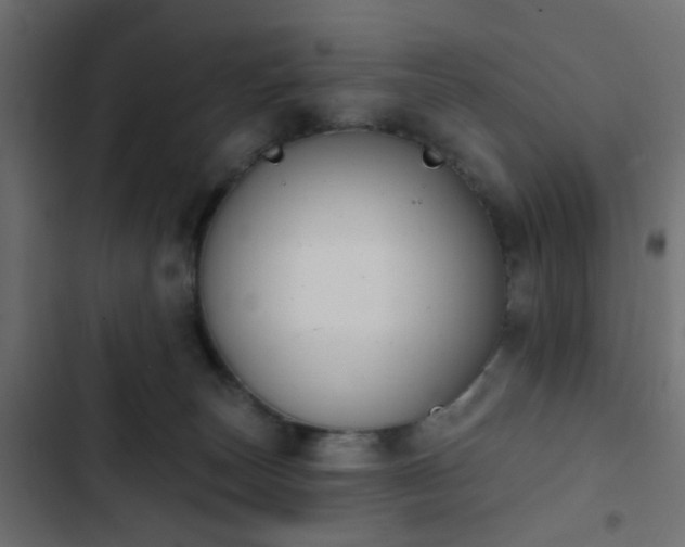 X0000103950179200809261756