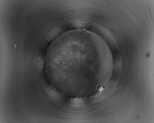 X0000103950180200809261756