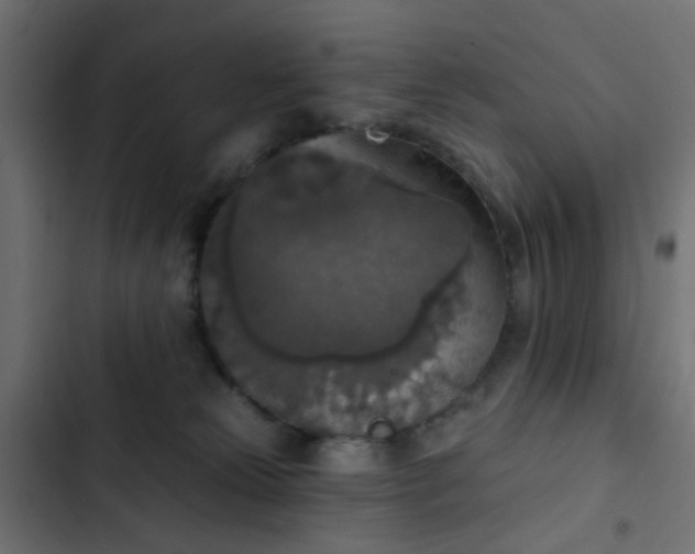 X0000103950181200809261756