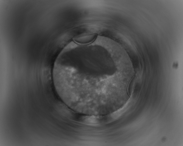 X0000103950182200809261756