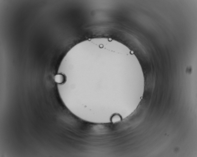 X0000103950183200809261756