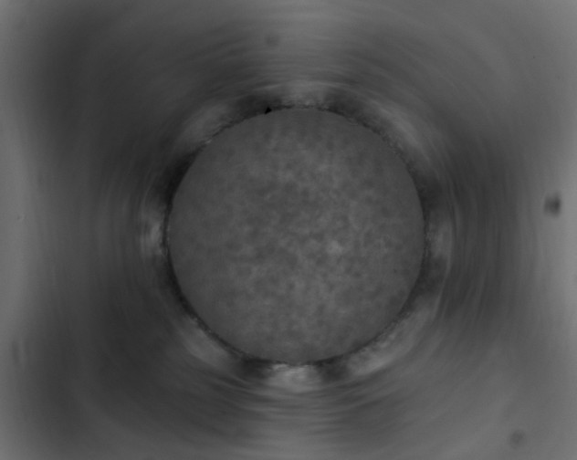 X0000103950185200809261756