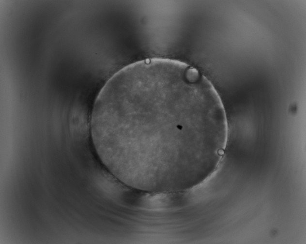 X0000103950186200809261756