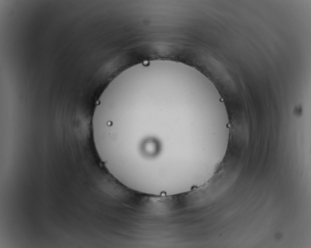 X0000103950188200809261756