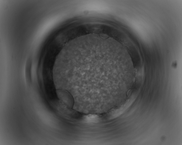 X0000103950189200809261756