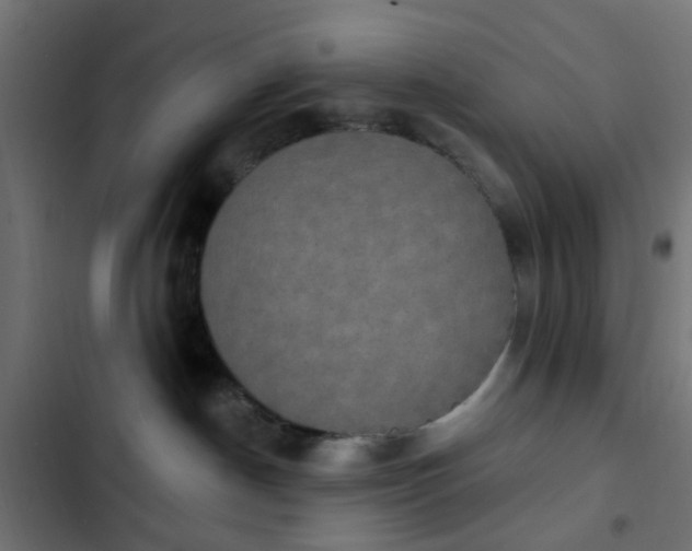 X0000103950190200809261756