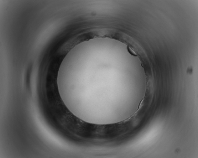 X0000103950191200809261756