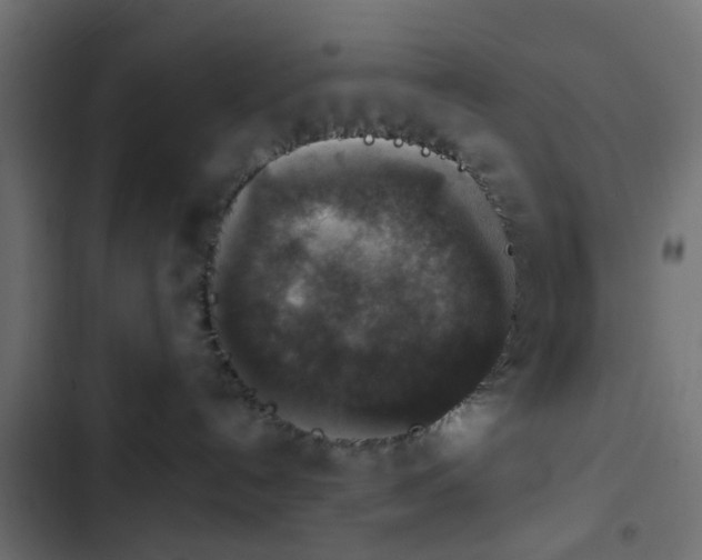 X0000103950192200809261756