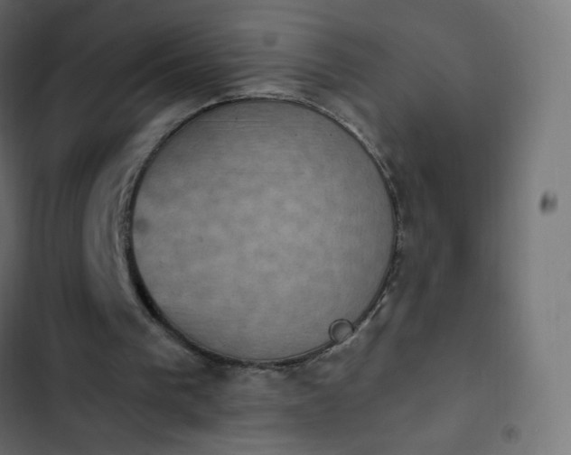 X0000103950193200809261756