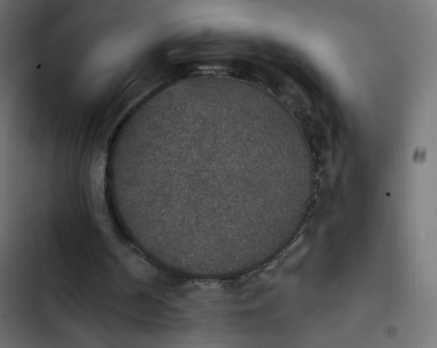 X0000103950194200809261756