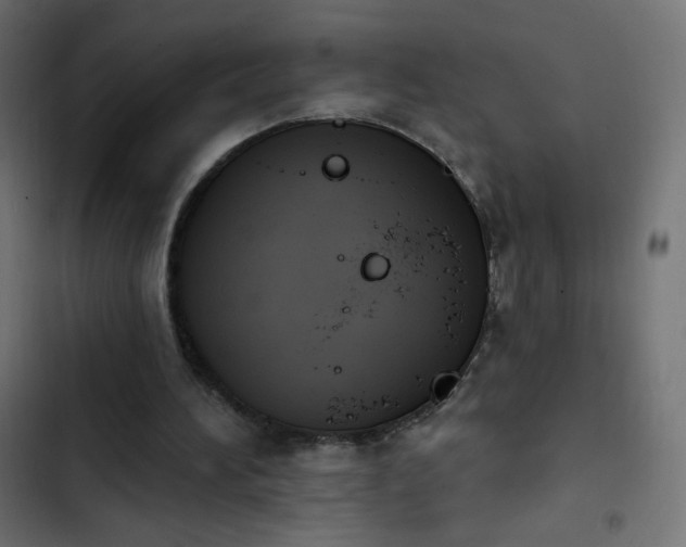 X0000103950196200809261756