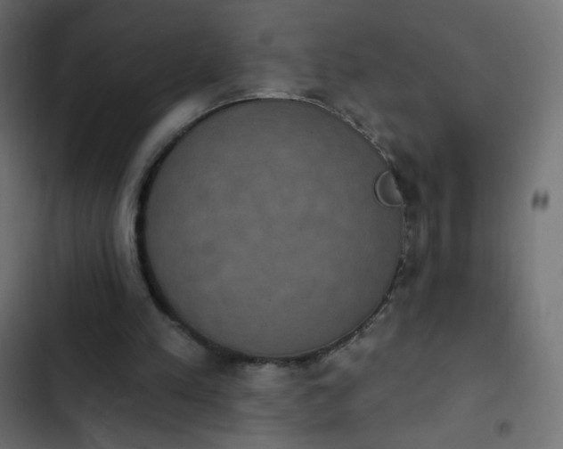 X0000103950197200809261756