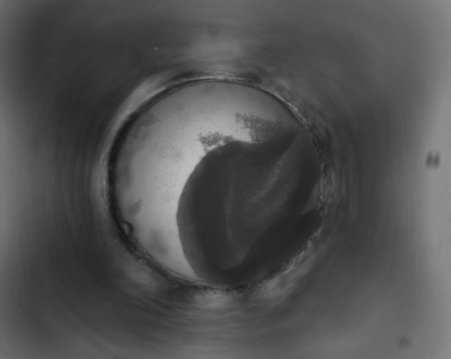 X0000103950198200809261756