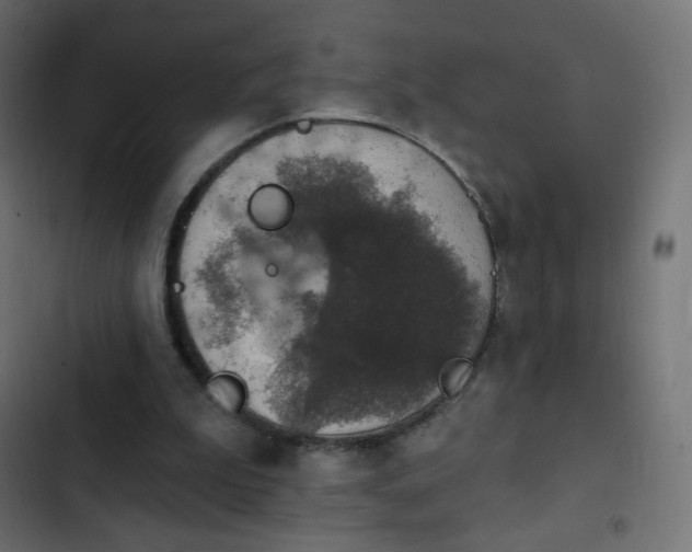 X0000103950199200809261756