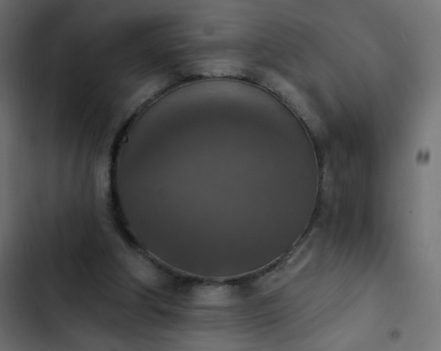 X0000103950202200809261755