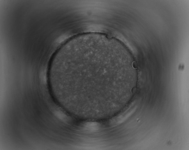 X0000103950203200809261755