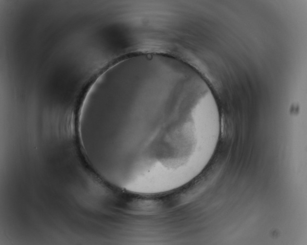 X0000103950205200809261755